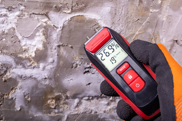 Best Mold Removal Near Me  in Rockwall, TX