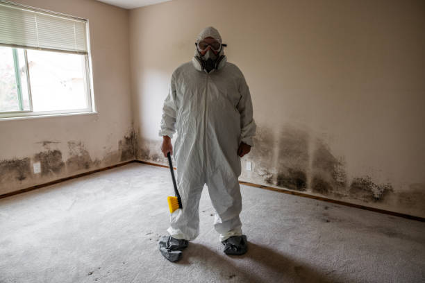 Best Crawl Space Mold Removal  in Rockwall, TX
