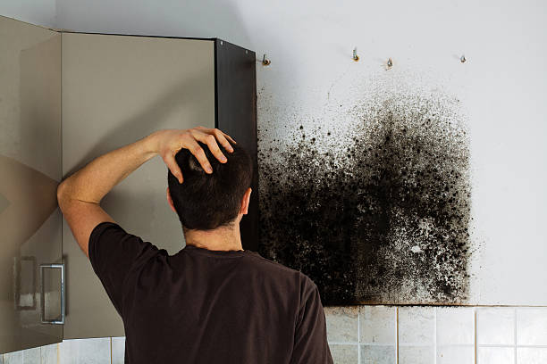 Best Mold Cleaning Services  in Rockwall, TX